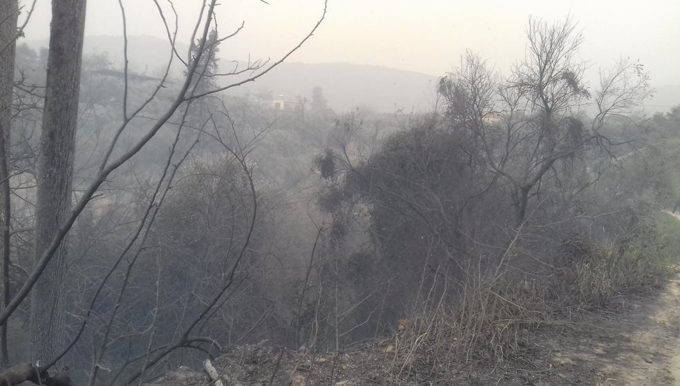 «Παλεύουν» με τον πύρινο εφιάλτη στη Σπίνα όπου απομακρύνθηκαν από τα σπίτια 