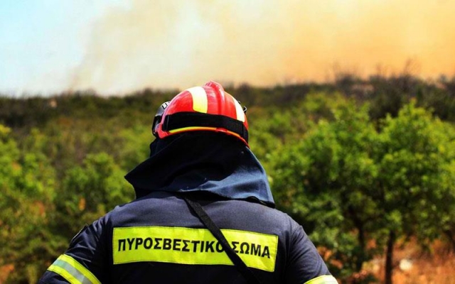 Η φωτιά στα καλάμια σήμανε συναγερμό στην Πυροσβεστική