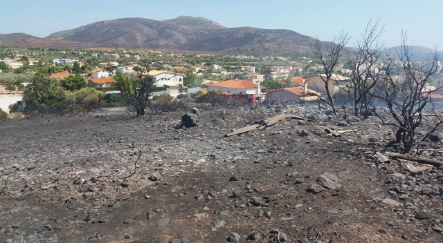 Το ΙΤΕ χαρτογράφησε τις καμένες εκτάσεις σε Κρήτη και Αττική