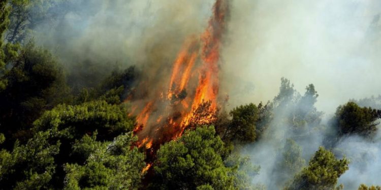 Αντιδήμαρχος Ρεθύμνου: Η πυρκαγιά στο Μάτι δεν μας έμαθε τίποτα