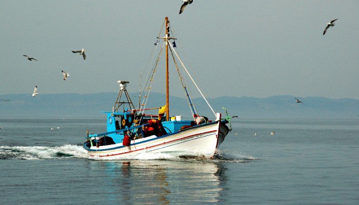 Κατέσχεσαν την ψαριά από ερασιτέχνη αλιέα στην Κρήτη