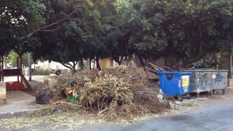 Έκοψαν τα κλαδιά και...ξέχασαν να τα μαζέψουν