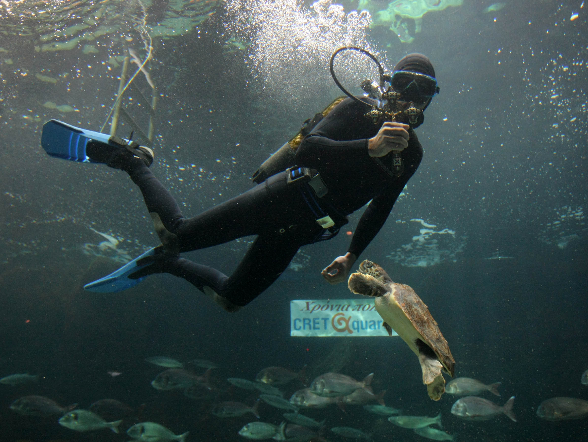 Θεοφάνεια στο Ενυδρείο Κρήτης CRETAquarium! 