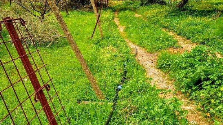 Άγνωστοι ρήμαξαν περιφράξεις σε χωριό...-Εικόνες